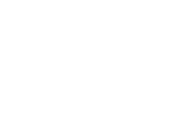Expertise Best Web Designers in Midland Texas